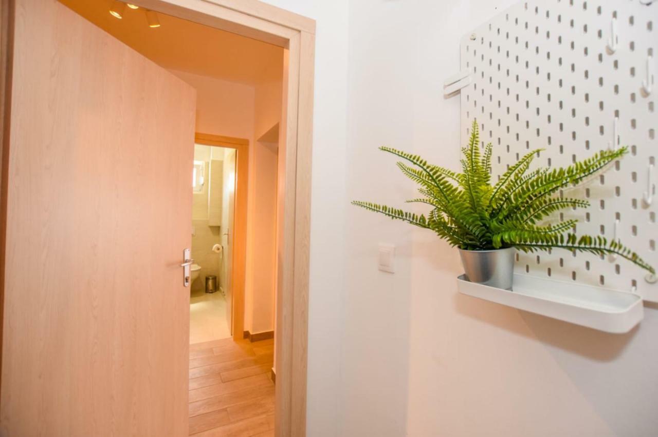 Apartments Milena 8 Mandre Dış mekan fotoğraf
